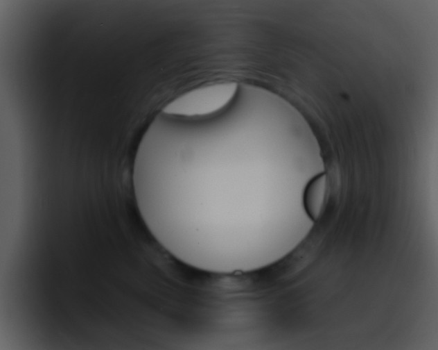 X0000096990522200802080922
