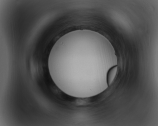 X0000096990526200802080922
