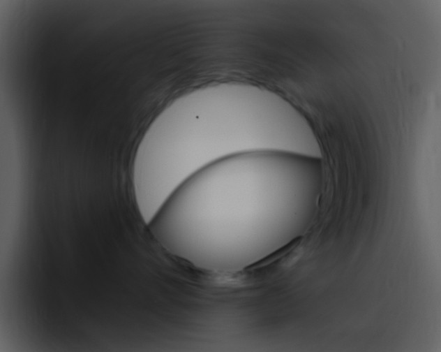 X0000096990528200802080922