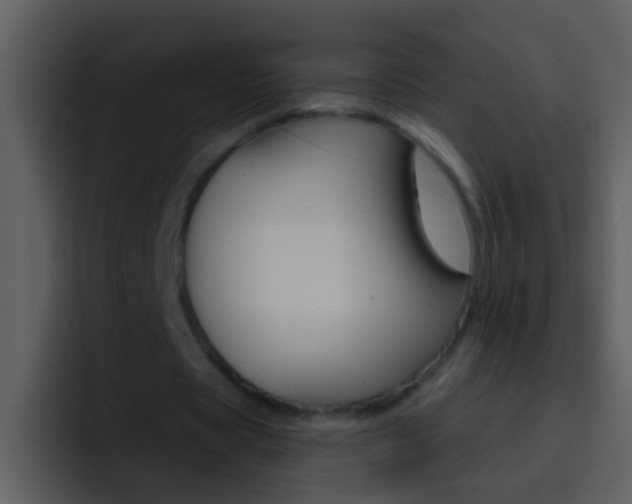 X0000096990529200802080921