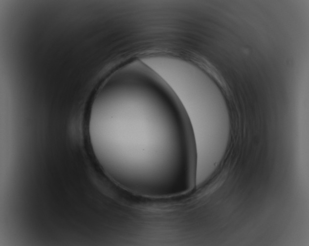X0000096990530200802080921