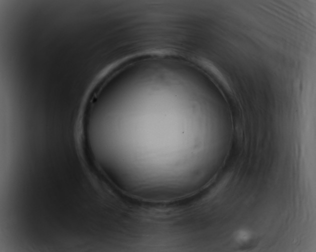 X0000096990532200802080921