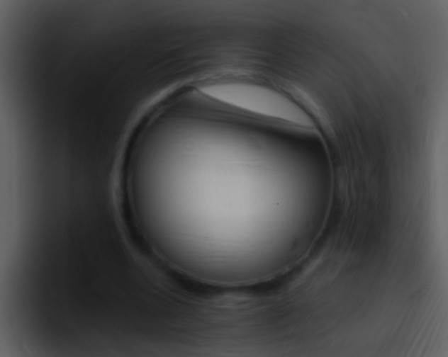X0000096990536200802080921