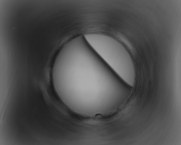 X0000096990537200802080921