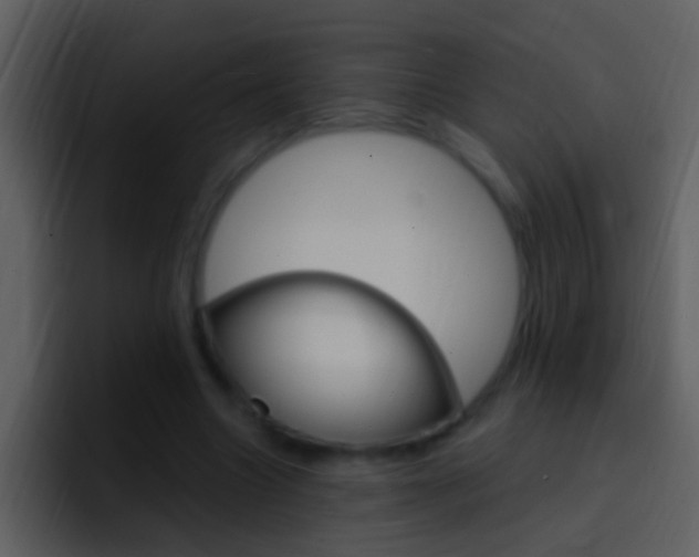 X0000096990538200802080921