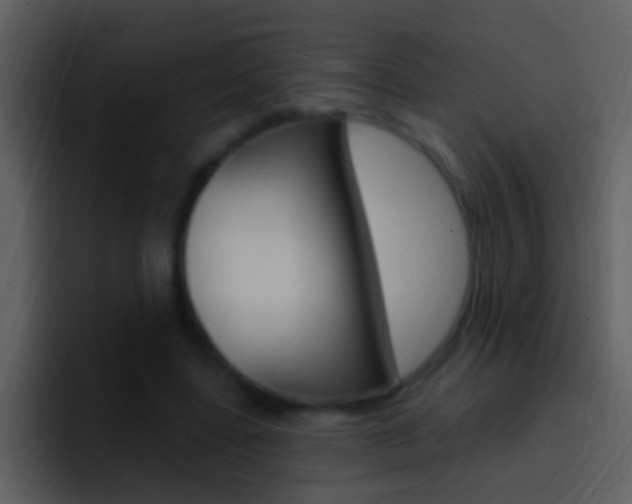 X0000096990539200802080921