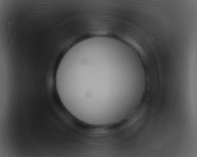 X0000096990541200802080921