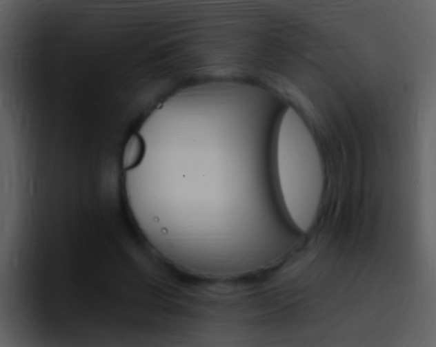 X0000096990542200802080921