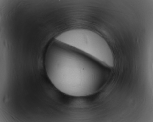 X0000096990547200802080921