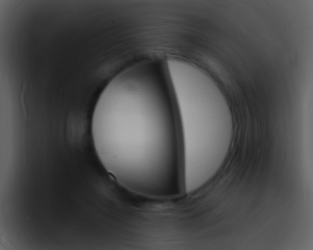 X0000096990548200802080921
