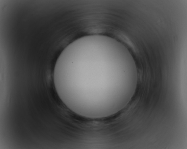 X0000096990549200802080921