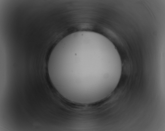 X0000096990550200802080921