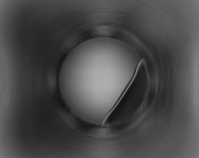 X0000096990552200802080921