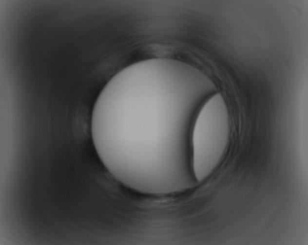 X0000096990553200802080921