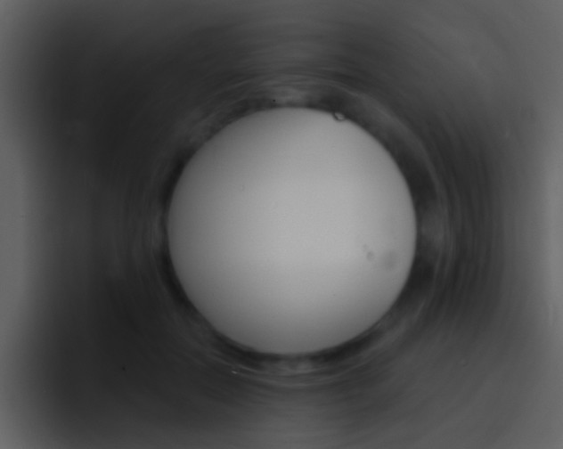 X0000096990554200802080921