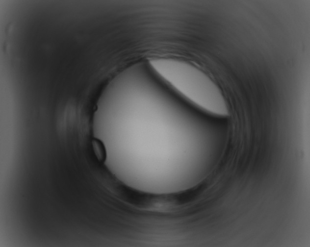 X0000096990555200802080921