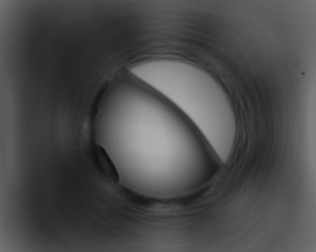 X0000096990556200802080921