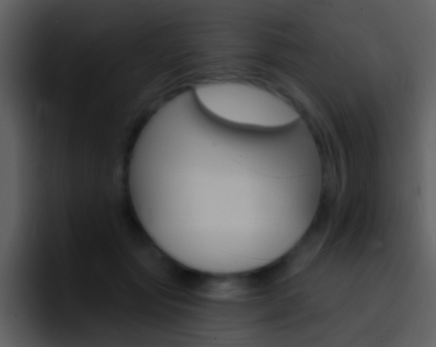 X0000096990557200802080921