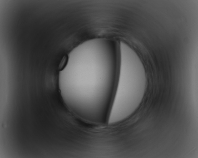 X0000096990558200802080921