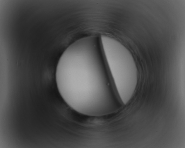 X0000096990559200802080921