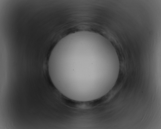 X0000096990561200802080921