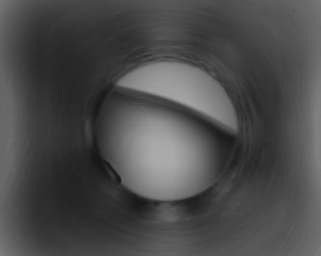 X0000096990562200802080921