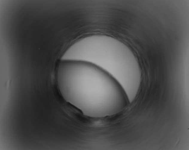 X0000096990564200802080922