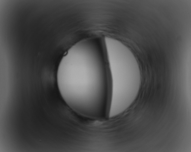 X0000096990566200802080922