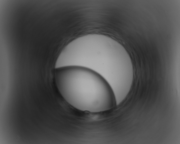 X0000096990570200802080922