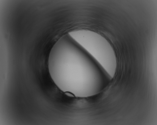 X0000096990572200802080922