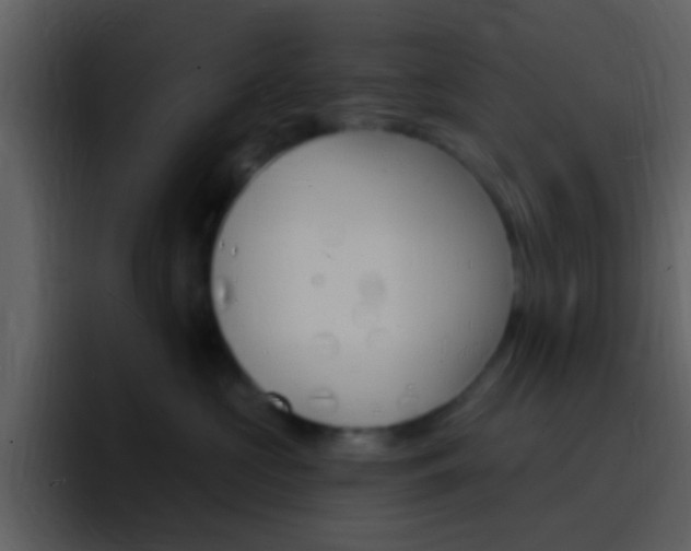 X0000096990573200802080922