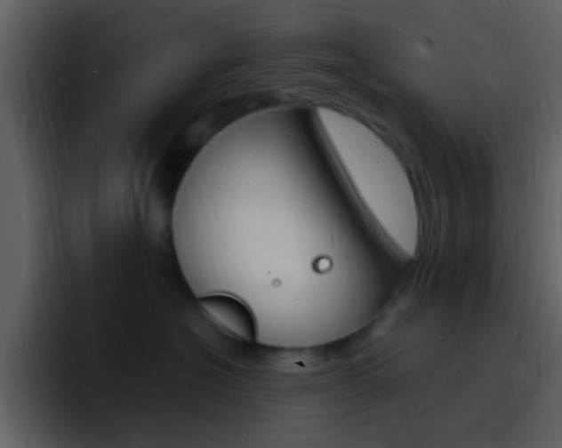 X0000096990574200802080922