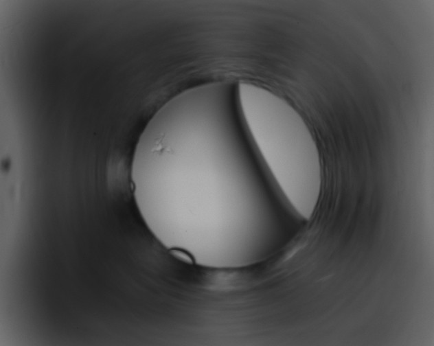 X0000096990575200802080922