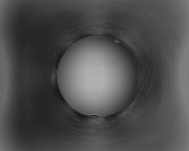 X0000096990576200802080922