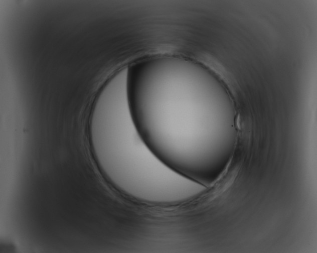 X0000096990577200802080921