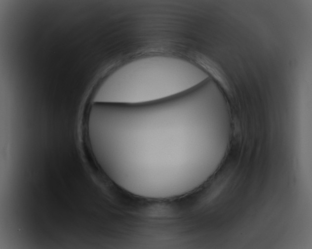 X0000096990578200802080921
