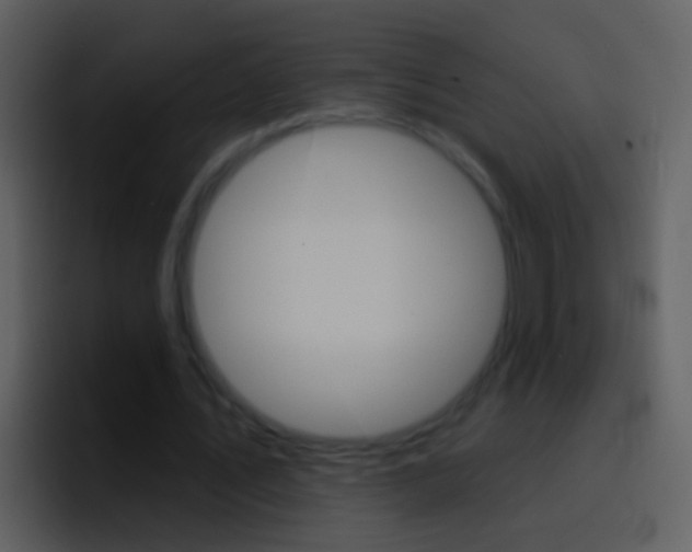 X0000096990579200802080921