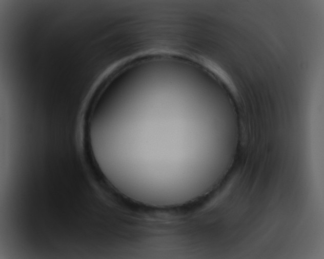 X0000096990580200802080921