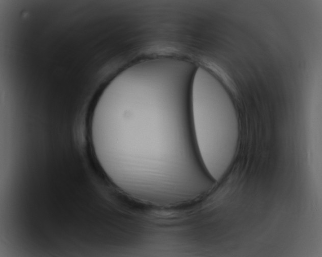 X0000096990582200802080921