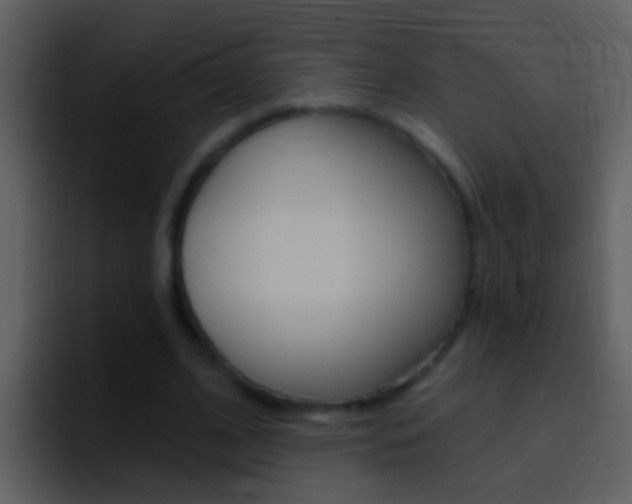 X0000096990584200802080921