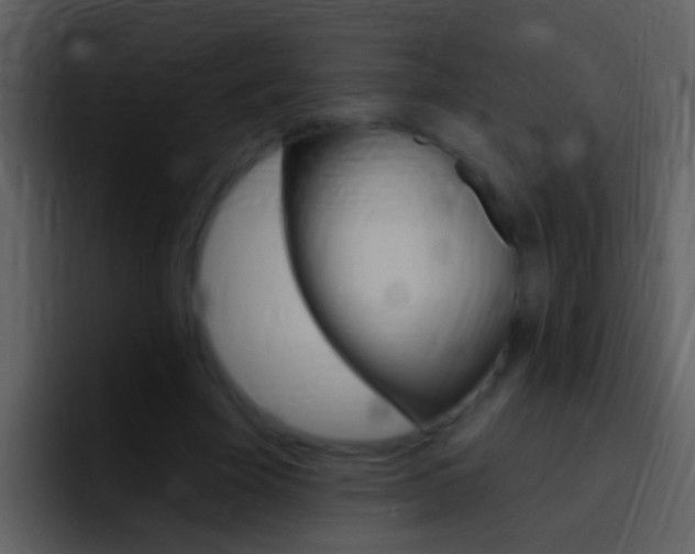 X0000096990585200802080921