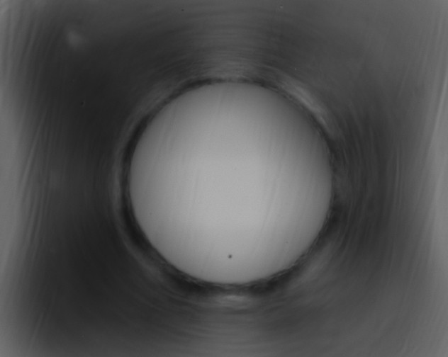 X0000096990586200802080921