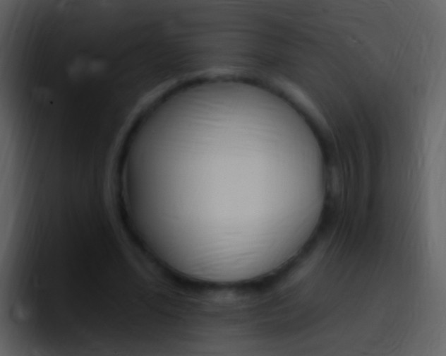 X0000096990588200802080921