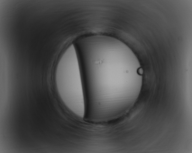 X0000096990592200802080921