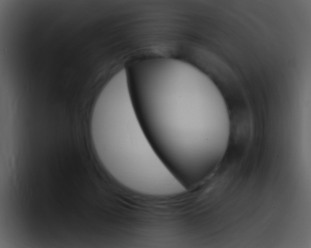X0000096990595200802080921