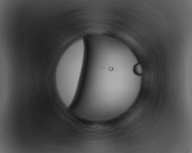 X0000096990596200802080921