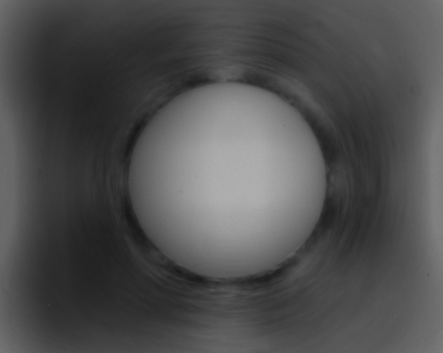 X0000096990598200802080921