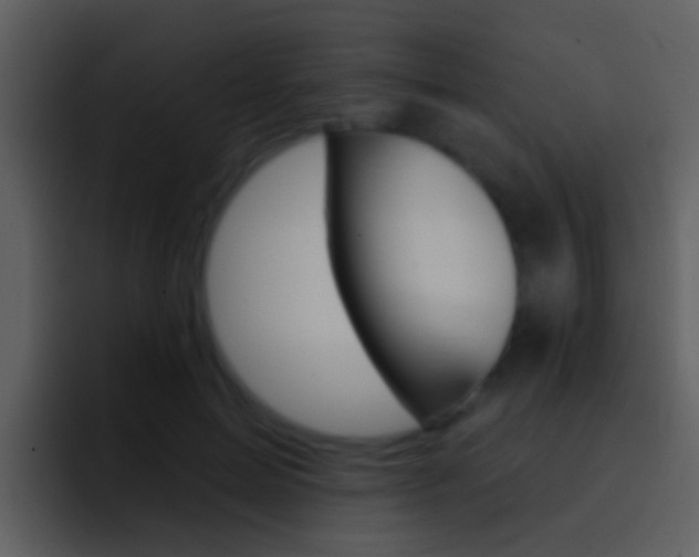 X0000096990599200802080921