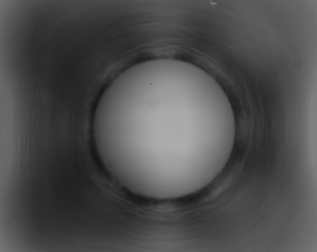 X0000096990600200802080921