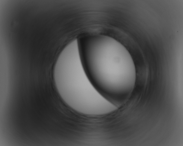 X0000096990601200802080921